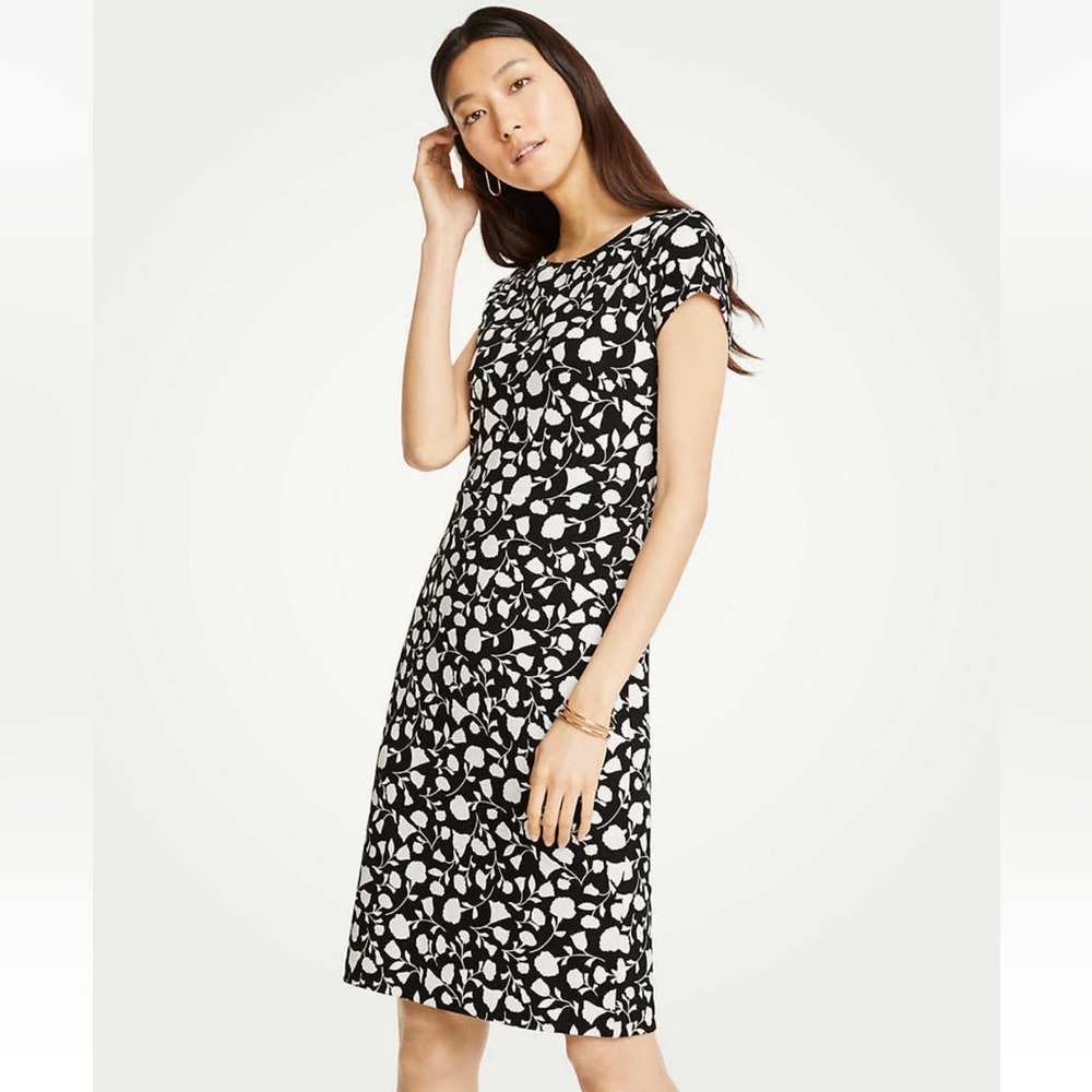 EUC AnnTaylor Floral Boatneck Sheath Dress
